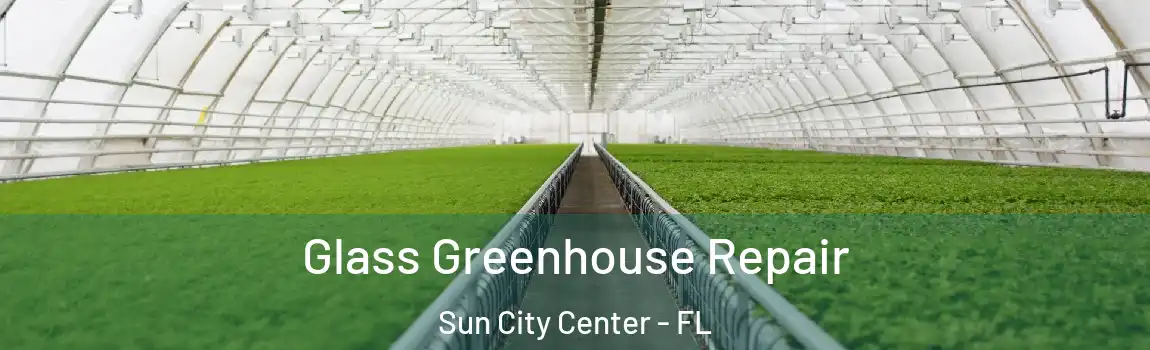  Glass Greenhouse Repair Sun City Center - FL