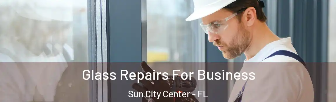  Glass Repairs For Business Sun City Center - FL